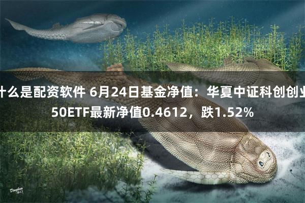 什么是配资软件 6月24日基金净值：华夏中证科创创业50ETF最新净值0.4612，跌1.52%