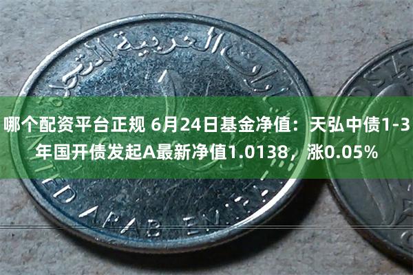 哪个配资平台正规 6月24日基金净值：天弘中债1-3年国开债发起A最新净值1.0138，涨0.05%