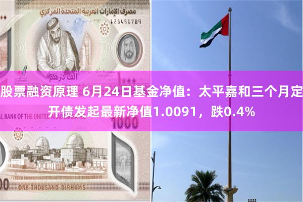 股票融资原理 6月24日基金净值：太平嘉和三个月定开债发起最新净值1.0091，跌0.4%