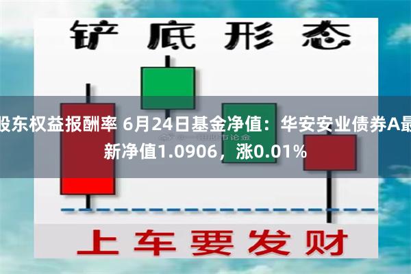 股东权益报酬率 6月24日基金净值：华安安业债券A最新净值1.0906，涨0.01%