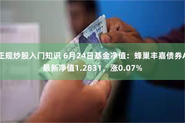 正规炒股入门知识 6月24日基金净值：蜂巢丰嘉债券A最新净值1.2831，涨0.07%