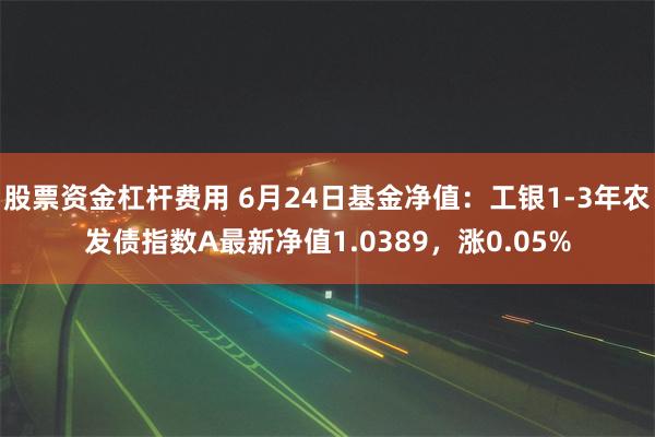 股票资金杠杆费用 6月24日基金净值：工银1-3年农发债指数A最新净值1.0389，涨0.05%