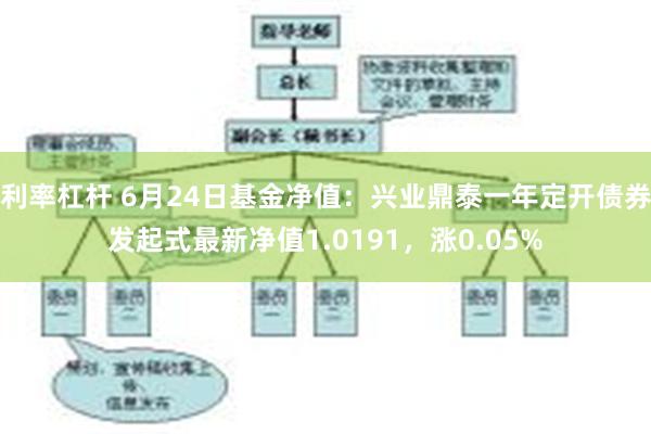 利率杠杆 6月24日基金净值：兴业鼎泰一年定开债券发起式最新净值1.0191，涨0.05%