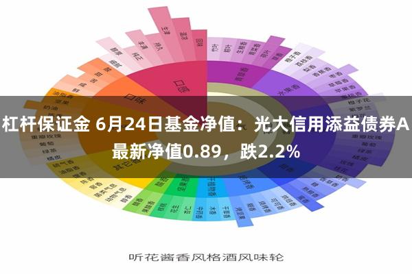 杠杆保证金 6月24日基金净值：光大信用添益债券A最新净值0.89，跌2.2%