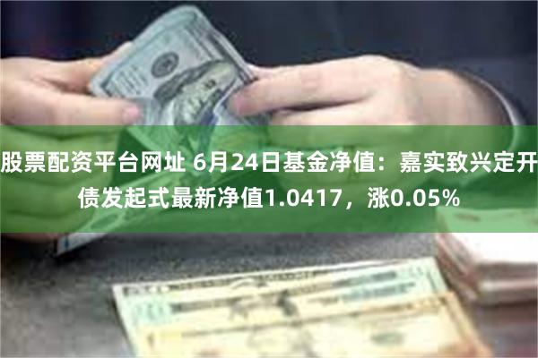 股票配资平台网址 6月24日基金净值：嘉实致兴定开债发起式最新净值1.0417，涨0.05%