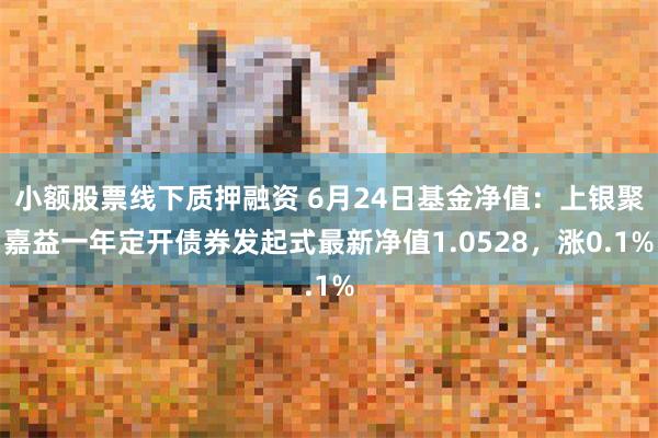 小额股票线下质押融资 6月24日基金净值：上银聚嘉益一年定开债券发起式最新净值1.0528，涨0.1%