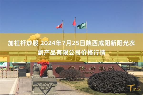 加杠杆炒股 2024年7月25日陕西咸阳新阳光农副产品有限公司价格行情