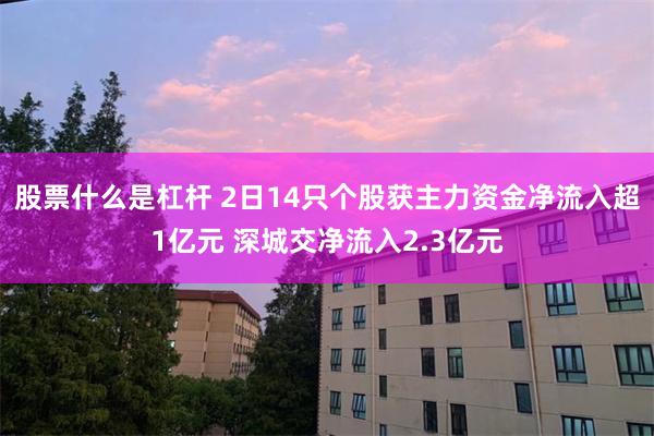 股票什么是杠杆 2日14只个股获主力资金净流入超1亿元 深城交净流入2.3亿元