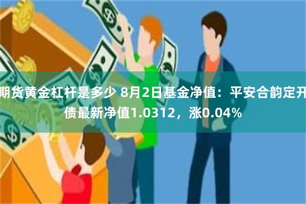 期货黄金杠杆是多少 8月2日基金净值：平安合韵定开债最新净值1.0312，涨0.04%