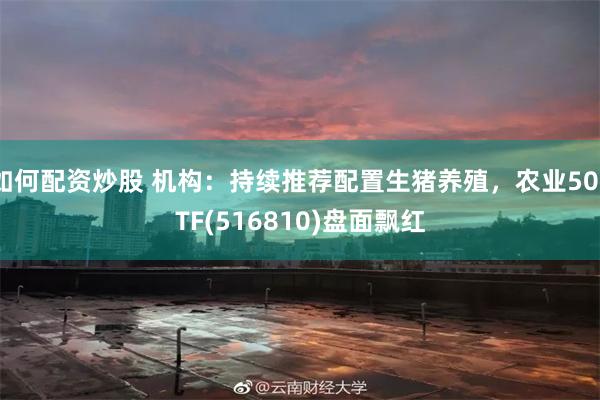 如何配资炒股 机构：持续推荐配置生猪养殖，农业50ETF(516810)盘面飘红