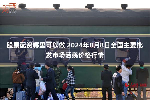 股票配资哪里可以做 2024年8月8日全国主要批发市场活鹅价格行情