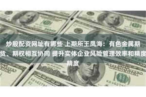 炒股配资网址有哪些 上期所王凤海：有色金属期货、期权相互协同 提升实体企业风险管理效率和精度