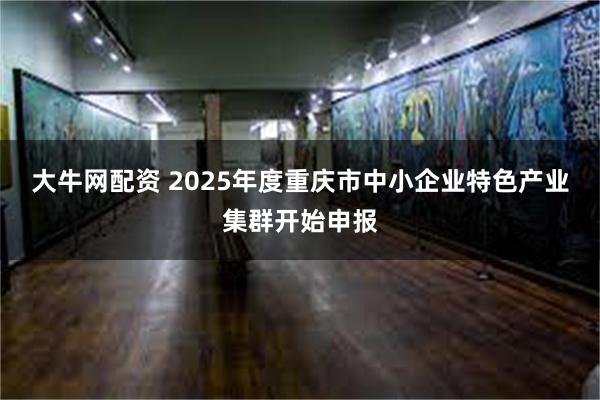 大牛网配资 2025年度重庆市中小企业特色产业集群开始申报